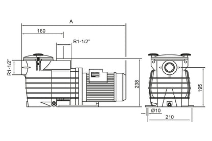 Kripsol Ondina OK Havuz Pampası