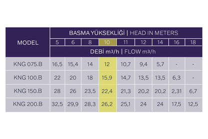 Kripsol Niger Kng Spa ve Su Oyunları  pompası